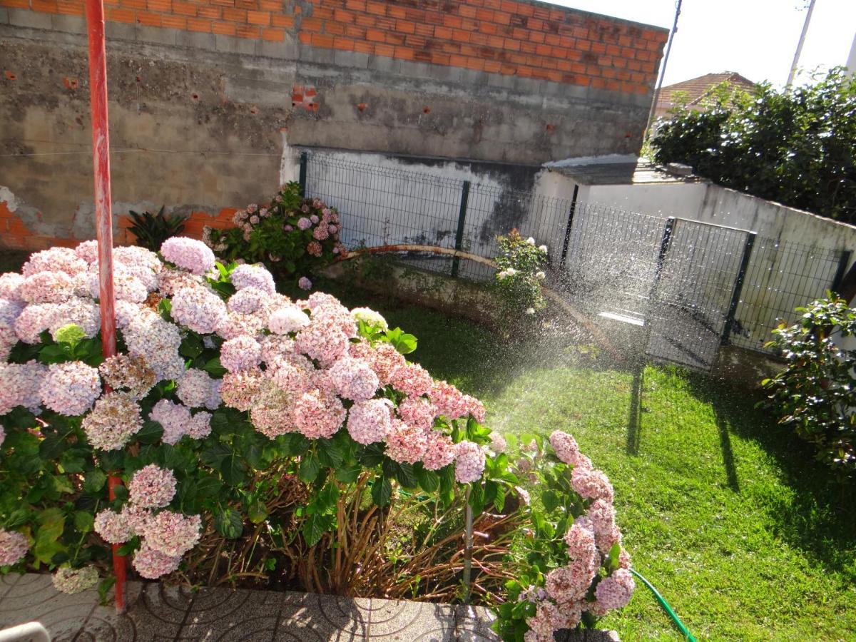 Ribeiro'S House Villa Gafanha da Nazaré Eksteriør bilde