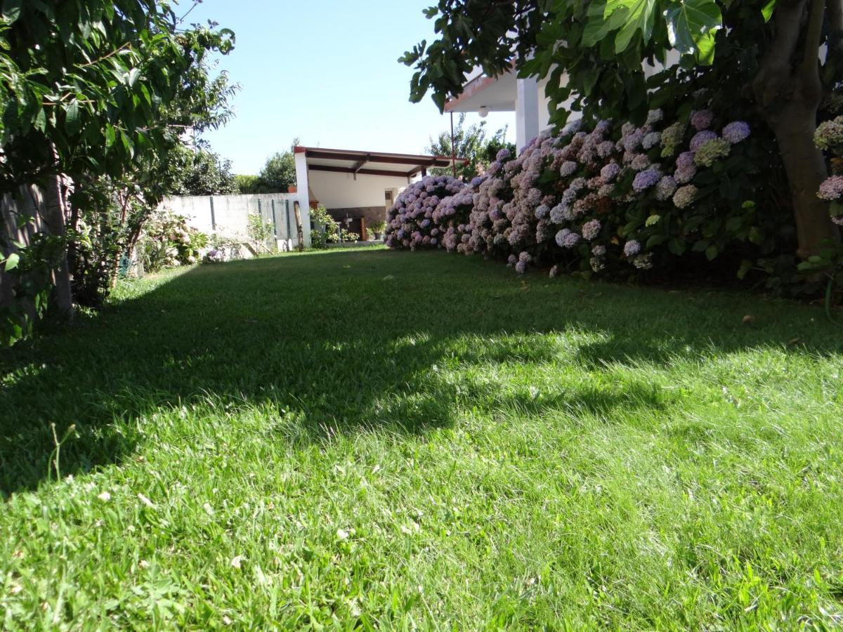 Ribeiro'S House Villa Gafanha da Nazaré Eksteriør bilde